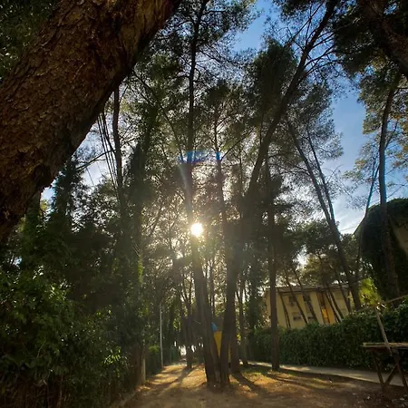 Promo Price September - By The Sea 1 Min From The Beach Appartamento