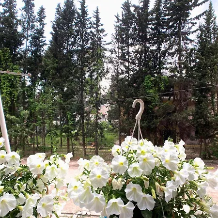 Promo Price September - By The Sea 1 Min From The Beach * Golem (Tirana)